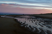 2022 Plum Island and Newburyport 20jan22              _K6A1553 3