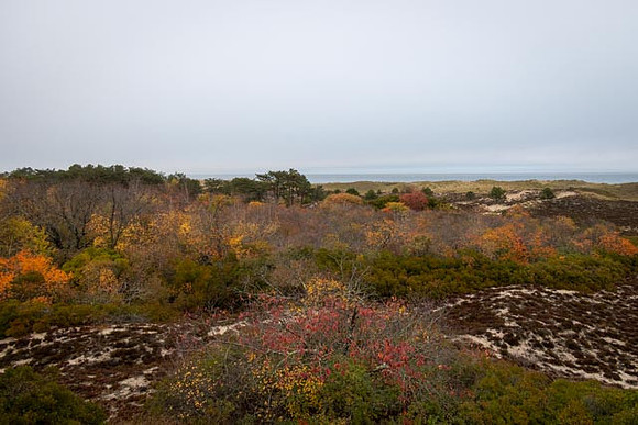 2022 Parker River National Wildlife Refuge 26oct22 28