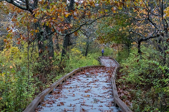 2022 Parker River National Wildlife Refuge 26oct22 32