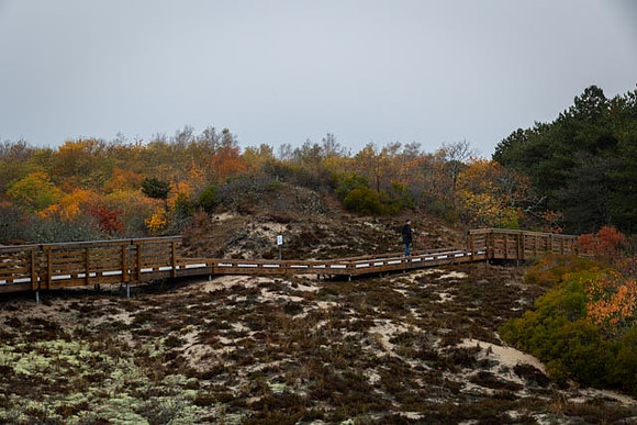 2022 Parker River National Wildlife Refuge 26oct22 29