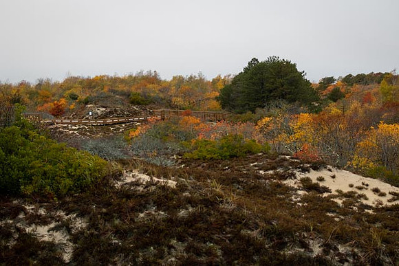 2022 Parker River National Wildlife Refuge 26oct22 27