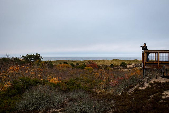 2022 Parker River National Wildlife Refuge 26oct22 26