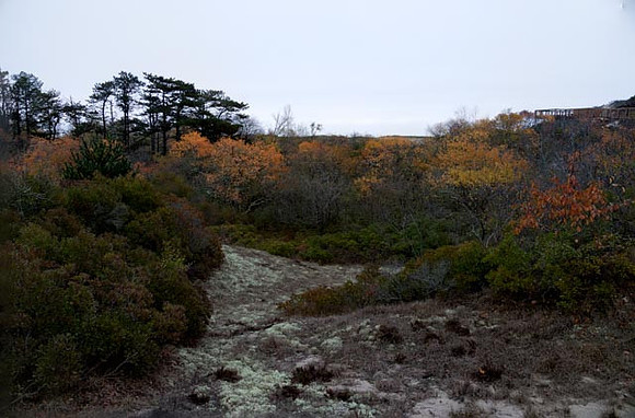 2022 Parker River National Wildlife Refuge 26oct22 24