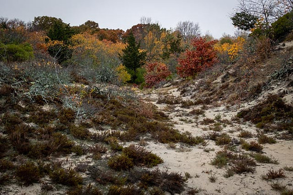 2022 Parker River National Wildlife Refuge 26oct22 25