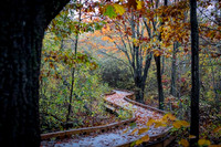 2022 Parker River National Wildlife Refuge 26oct22 20