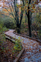 2022 Parker River National Wildlife Refuge 26oct22 21