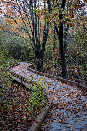 2022 Parker River National Wildlife Refuge 26oct22 21