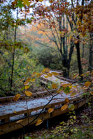 2022 Parker River National Wildlife Refuge 26oct22 19
