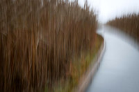 2022 Parker River National Wildlife Refuge 26oct22 16