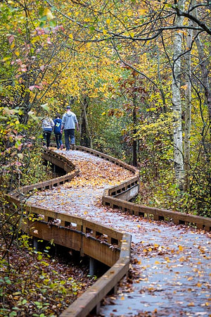 2022 Parker River National Wildlife Refuge 26oct22 14