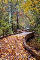 2022 Parker River National Wildlife Refuge 26oct22 11
