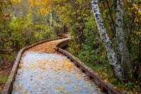 2022 Parker River National Wildlife Refuge 26oct22