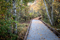 2022 Parker River National Wildlife Refuge 26oct22 9