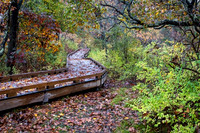 2022 Parker River National Wildlife Refuge 26oct22 8