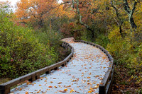 2022 Parker River National Wildlife Refuge 26oct22 7