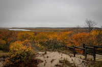 2022 Parker River National Wildlife Refuge 26oct22 4