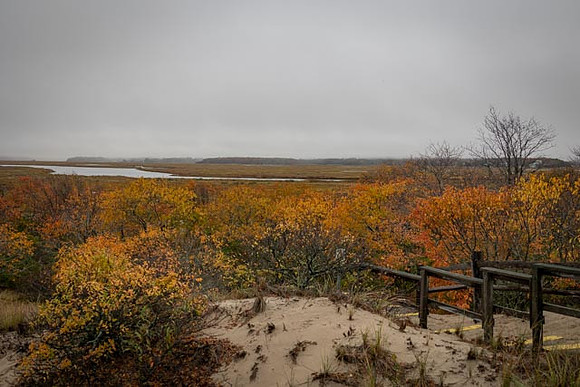 2022 Parker River National Wildlife Refuge 26oct22 4