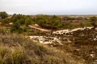 2022 Parker River National Wildlife Refuge 26oct22 5