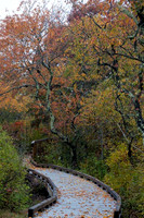 2022 Parker River National Wildlife Refuge 26oct22 6