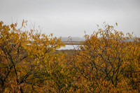 2022 Parker River National Wildlife Refuge 26oct22 3