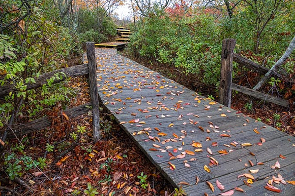 2022 Parker River National Wildlife Refuge 26oct22 2
