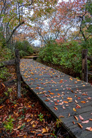 2022 Parker River National Wildlife Refuge 26oct22 1