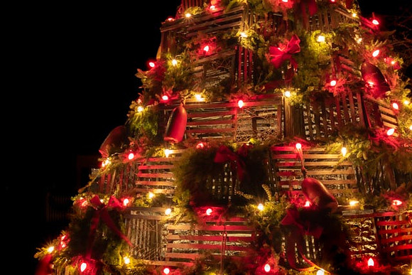 2022 Cape Porpoise Square Lobster Trap Tree  5dec22  4