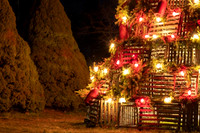 2022 Cape Porpoise Square Lobster Trap Tree  5dec22  2