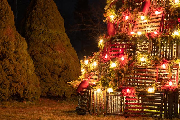 2022 Cape Porpoise Square Lobster Trap Tree  5dec22  2