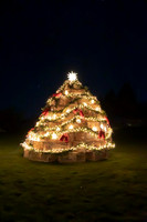 2022 Beachmere Inn Lobster Trap Tree   5dec22  3