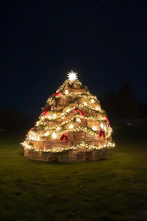2022 Beachmere Inn Lobster Trap Tree   5dec22  3