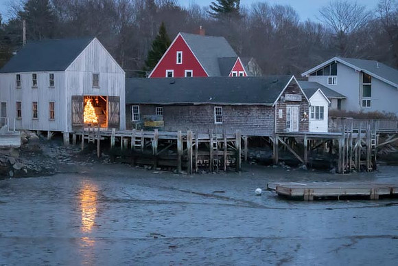 2022 Cape Porpoise  Tree  in harborfront fish shack 5dec22  1