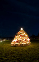 2022 Beachmere Inn Lobster Trap Tree   5dec22  1