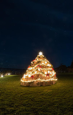 2022 Beachmere Inn Lobster Trap Tree   5dec22  1