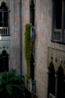 2026 Isabella Stewart Gardner Museum 9ap26 _K6A2376