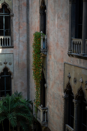 2026 Isabella Stewart Gardner Museum 9ap26 _K6A2376