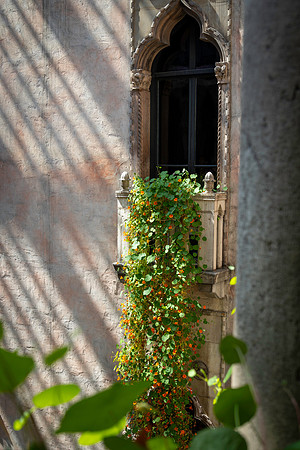 2026 Isabella Stewart Gardner Museum 9ap26 _K6A2406