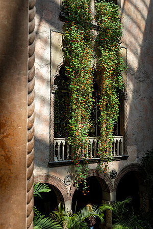 2026 Isabella Stewart Gardner Museum 9ap26 _K6A2341