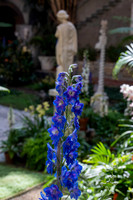 2026 Isabella Stewart Gardner Museum 9ap26 _K6A2306