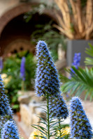 2026 Isabella Stewart Gardner Museum 9ap26 _K6A2329