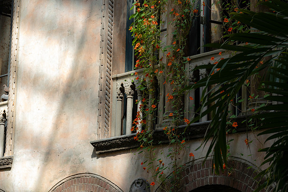 2026 Isabella Stewart Gardner Museum 9ap26 _K6A2310