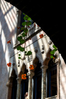 2026 Isabella Stewart Gardner Museum 9ap26 _K6A2290