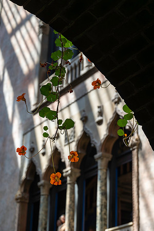2026 Isabella Stewart Gardner Museum 9ap26 _K6A2290