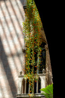 2026 Isabella Stewart Gardner Museum 9ap26 _K6A2287
