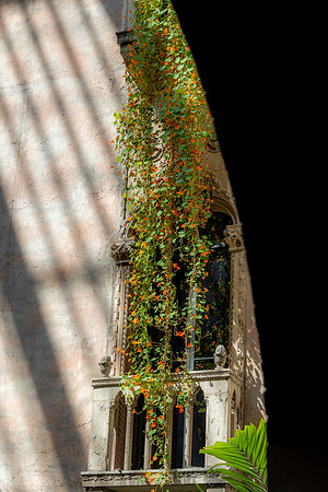 2026 Isabella Stewart Gardner Museum 9ap26 _K6A2287