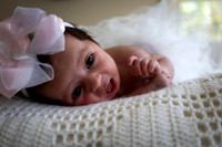 2026 Charlee 19may26 _K6A324518