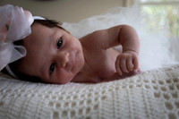 2026 Charlee 19may26 _K6A324417