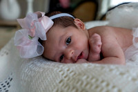 2026 Charlee 19may26 _K6A323614