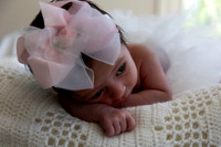 2026 Charlee 19may26 _K6A322410