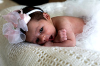 2026 Charlee 19may26 _K6A323413